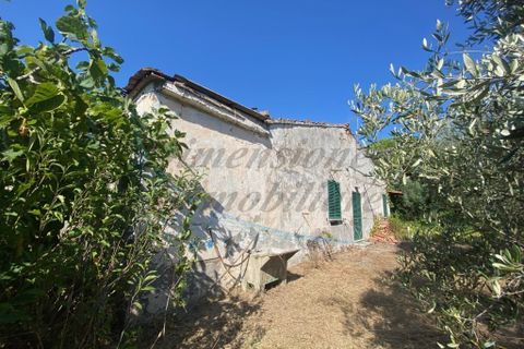 Byhus i Rosignano Marittimo, Livorno, Rosignano Marittimo - € 230.000 | Ref: 1715 - foto 3