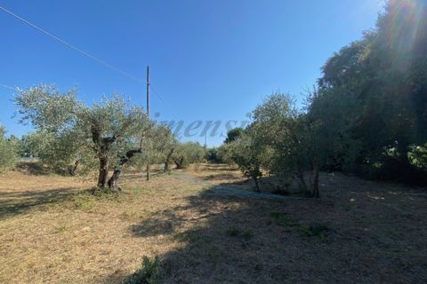 Byhus i Rosignano Marittimo, Livorno, Rosignano Marittimo - € 230.000 | Ref: 1715 - foto 4