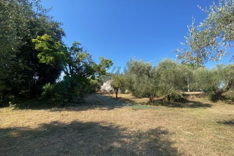 Byhus i Rosignano Marittimo, Livorno, Rosignano Marittimo - € 230.000 | Ref: 1715 - foto 5