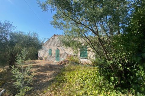 Byhus i Rosignano Marittimo, Livorno, Rosignano Marittimo - € 230.000 | Ref: 1715 - foto 6