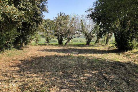 Terra a Saint-Augustin, Charente-Maritime, Saint-Augustin - € 125.000 | Ref: A5503 - foto 2