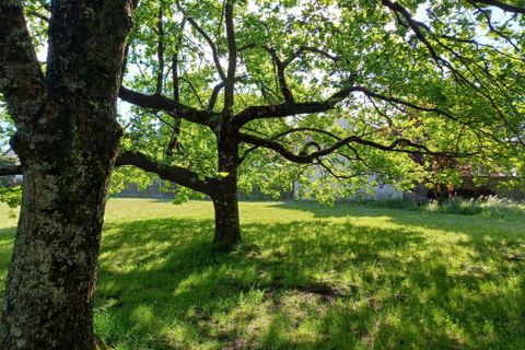 Terra a Biganos, Gironde, Biganos - € 380.000 | Ref: A5423 - foto 3