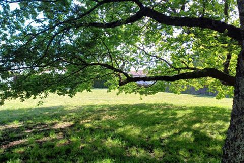 Terra a Biganos, Gironde, Biganos - € 380.000 | Ref: A5423 - foto 4