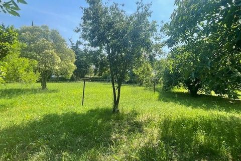 Villa en Arles, Bouches-du-Rhone, Arles - € 1.895.000 | Ref: A5390 - photo 9