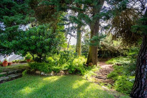 Villa i Cascais, Lisbon, Cascais - € 8.000.000 | Ref: C0263-01803 - foto 6