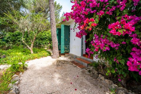 Villa i Cascais, Lisbon, Cascais - € 8.000.000 | Ref: C0263-01803 - foto 28