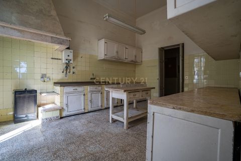 Cortijo i Sintra, Lisbon, Sintra - € 16.500.000 | Ref: C0263-01943 - foto 11
