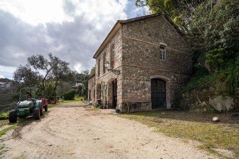 Cortijo i Sintra, Lisbon, Sintra - € 16.500.000 | Ref: C0263-01943 - foto 34