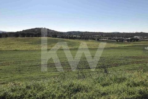 Helårsgrund i Sever do Vouga, Aveiro, Sever do Vouga - € 90.000 | Ref: 2198-2725 - foto 3