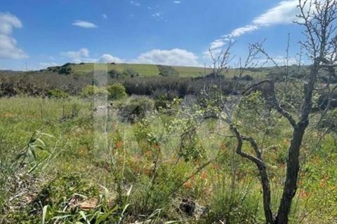 Helårsgrund i Sever do Vouga, Aveiro, Sever do Vouga - € 90.000 | Ref: 2198-2725 - foto 4