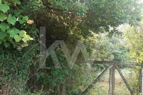 Helårsgrund i Sever do Vouga, Aveiro, Sever do Vouga - € 90.000 | Ref: 2198-2725 - foto 6