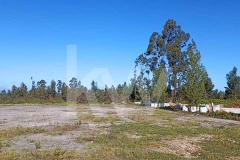 Tomt i Macinhata do Vouga, Aveiro, Macinhata do Vouga - € 753 150 | Ref: 2198-1934 - foto 3
