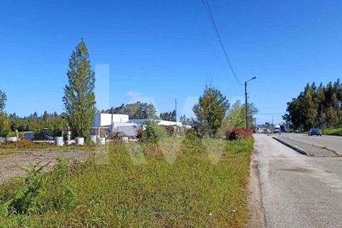 Tomt i Macinhata do Vouga, Aveiro, Macinhata do Vouga - € 753 150 | Ref: 2198-1934 - foto 5
