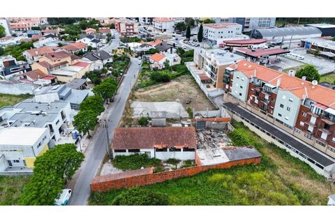 Helårsgrund i Aveiro, Aveiro, Aveiro - € 1.000.000 | Ref: 2198-2612 - foto 5