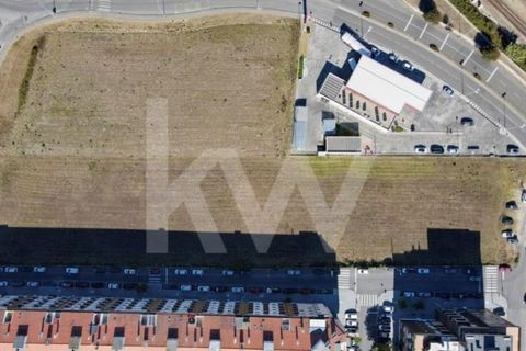 Helårsgrund i Aveiro, Aveiro, Aveiro - € 3.500.000 | Ref: 2198-3216 - foto 6