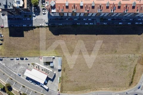 Helårsgrund i Aveiro, Aveiro, Aveiro - € 3.500.000 | Ref: 2198-3216 - foto 7