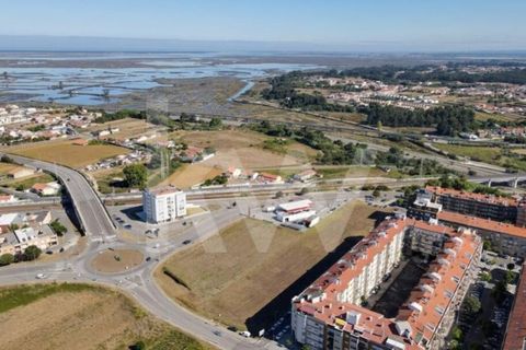 Helårsgrund i Aveiro, Aveiro, Aveiro - € 3.500.000 | Ref: 2198-3216 - foto 8