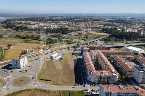 Helårsgrund i Aveiro, Aveiro, Aveiro - € 3.500.000 | Ref: 2198-3216 - foto 9