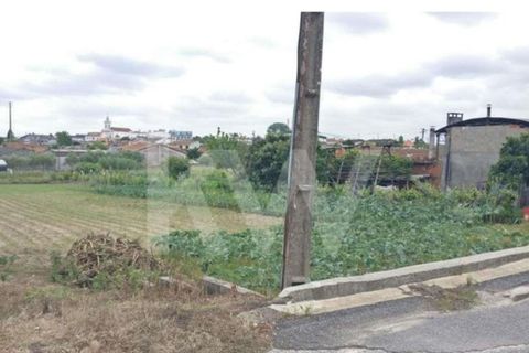 Terra a Fermentelos, Aveiro, Fermentelos - € 29.900 | Ref: 2198-1888 - foto 2