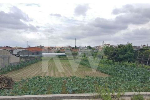Terra a Fermentelos, Aveiro, Fermentelos - € 29.900 | Ref: 2198-1888 - foto 3