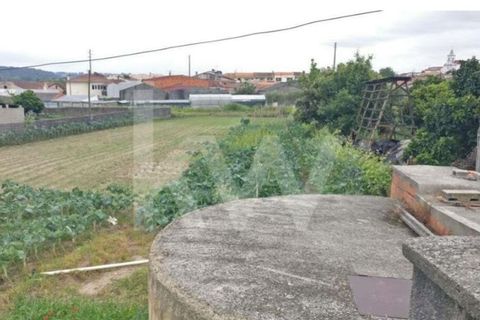 Terra a Fermentelos, Aveiro, Fermentelos - € 29.900 | Ref: 2198-1888 - foto 4