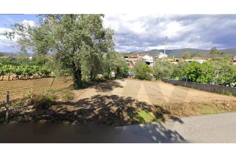 Helårsgrund i Agueda, Aveiro, Agueda - € 27.000 | Ref: 2198-3124 - foto 2