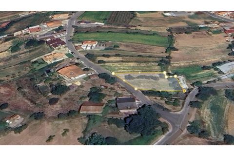 Helårsgrund i Agueda, Aveiro, Agueda - € 27.000 | Ref: 2198-3124 - foto 4