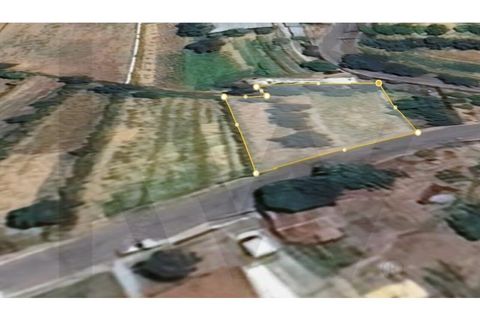 Helårsgrund i Agueda, Aveiro, Agueda - € 27.000 | Ref: 2198-3124 - foto 6