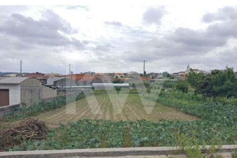 Terra a Fermentelos, Aveiro, Fermentelos - € 29.900 | Ref: 2198-1887 - foto 2