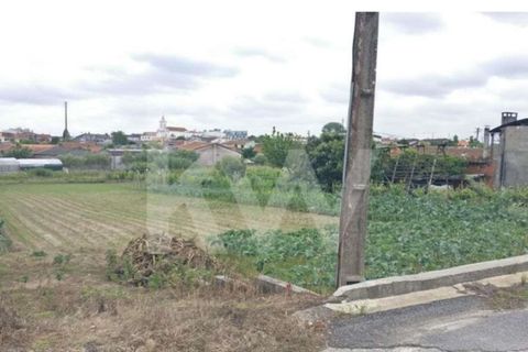 Terra a Fermentelos, Aveiro, Fermentelos - € 29.900 | Ref: 2198-1887 - foto 3