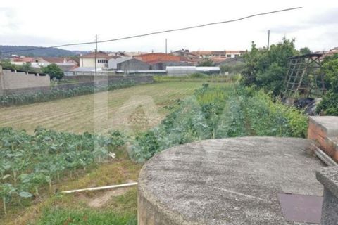 Terra a Fermentelos, Aveiro, Fermentelos - € 29.900 | Ref: 2198-1887 - foto 4