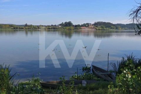 Terra a Fermentelos, Aveiro, Fermentelos - € 29.900 | Ref: 2198-1887 - foto 6