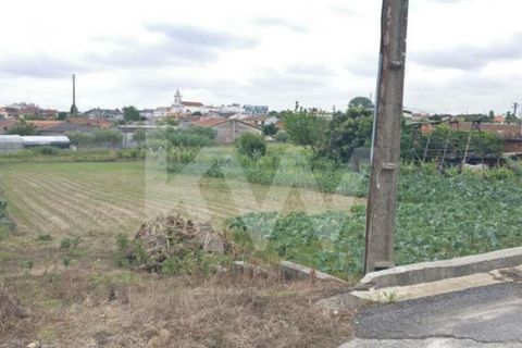 Helårsgrund i Fermentelos, Aveiro, Fermentelos - € 59.000 | Ref: 2198-1298 - foto 4