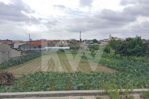 Helårsgrund i Fermentelos, Aveiro, Fermentelos - € 59.000 | Ref: 2198-1298 - foto 5