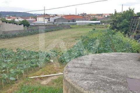 Helårsgrund i Fermentelos, Aveiro, Fermentelos - € 59.000 | Ref: 2198-1298 - foto 6