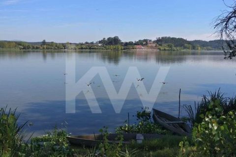 Helårsgrund i Fermentelos, Aveiro, Fermentelos - € 59.000 | Ref: 2198-1298 - foto 8