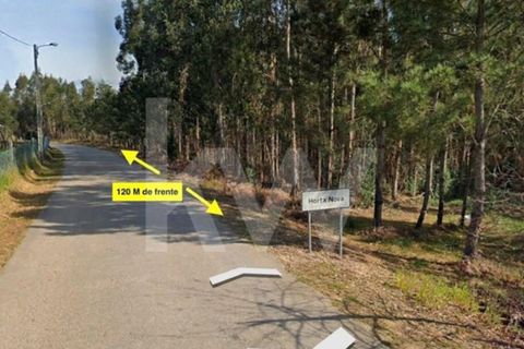 Grond in Agueda, Aveiro, Agueda - € 77.000 | Ref: 2198-3126 - foto 2