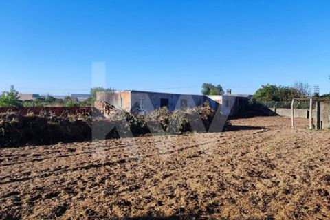 Helårsgrund i Aveiro, Aveiro, Aveiro - € 160.000 | Ref: 2198-2526 - foto 2