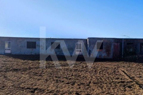 Helårsgrund i Aveiro, Aveiro, Aveiro - € 160.000 | Ref: 2198-2526 - foto 7