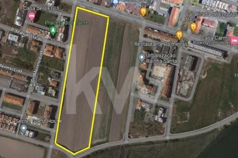 Helårsgrund i Vagos, Aveiro, Vagos - € 2.280.000 | Ref: 2198-2806 - foto 1