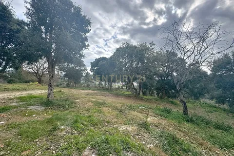 Villa i Alcobaca, Leiria, Alcobaca - € 500.000 | Ref: 1739-01663 - foto 29