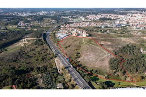 Helårsgrund i Santo Onofre e Serra do Bouro, Leiria, Santo Onofre e Serra do Bouro - € 3.250.000 | Ref: BL1143 - foto 2