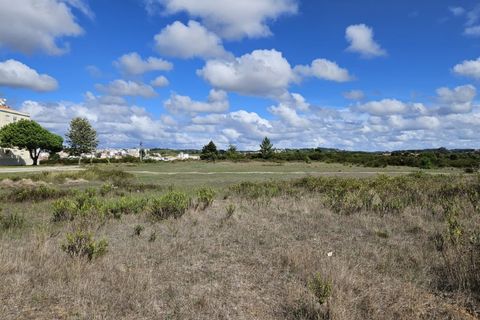 Helårsgrund i Santo Onofre e Serra do Bouro, Leiria, Santo Onofre e Serra do Bouro - € 3.250.000 | Ref: BL1143 - foto 11