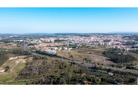Helårsgrund i Santo Onofre e Serra do Bouro, Leiria, Santo Onofre e Serra do Bouro - € 3.250.000 | Ref: BL1143 - foto 13