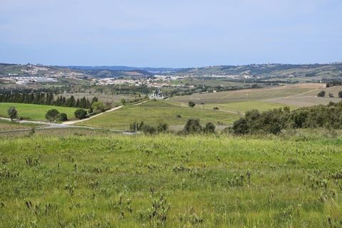 Helårsgrund i Carvalhal, Leiria, Carvalhal - € 620.000 | Ref: BL1092 - foto 11