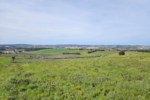 Helårsgrund i Carvalhal, Leiria, Carvalhal - € 620.000 | Ref: BL1092 - foto 15