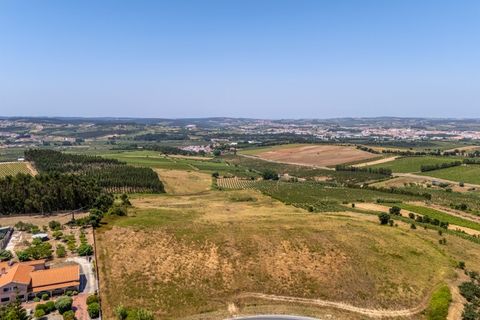 Helårsgrund i Carvalhal, Leiria, Carvalhal - € 620.000 | Ref: BL1092 - foto 2