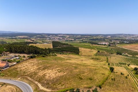 Helårsgrund i Carvalhal, Leiria, Carvalhal - € 620.000 | Ref: BL1092 - foto 4