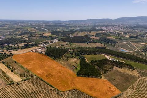 Helårsgrund i Carvalhal, Leiria, Carvalhal - € 620.000 | Ref: BL1092 - foto 8