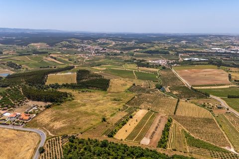 Helårsgrund i Carvalhal, Leiria, Carvalhal - € 620.000 | Ref: BL1092 - foto 13